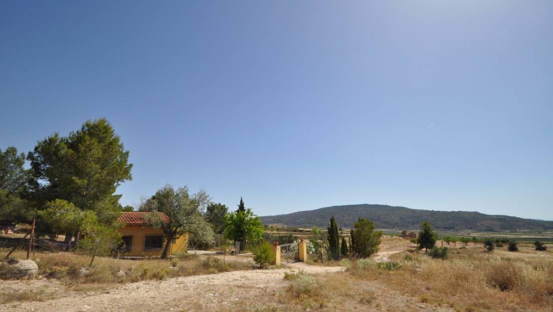 Venta - Land - Pinoso - Pinoso Centro