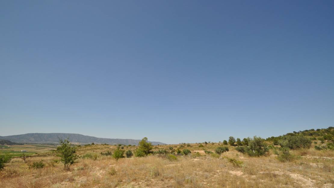 Venta - Land - Pinoso - Pinoso Centro