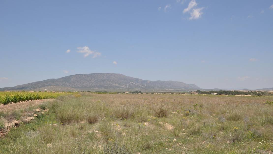 Venta - Land - Pinoso - Pinoso Centro