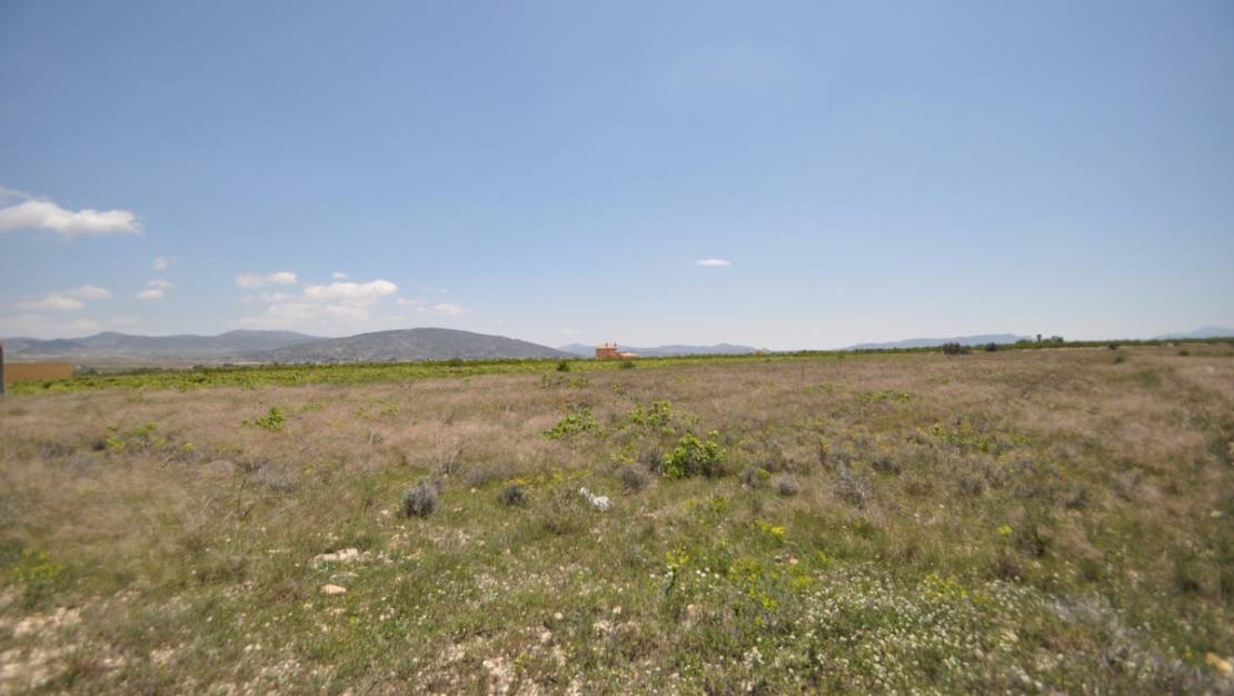 Venta - Land - Pinoso - Pinoso Centro