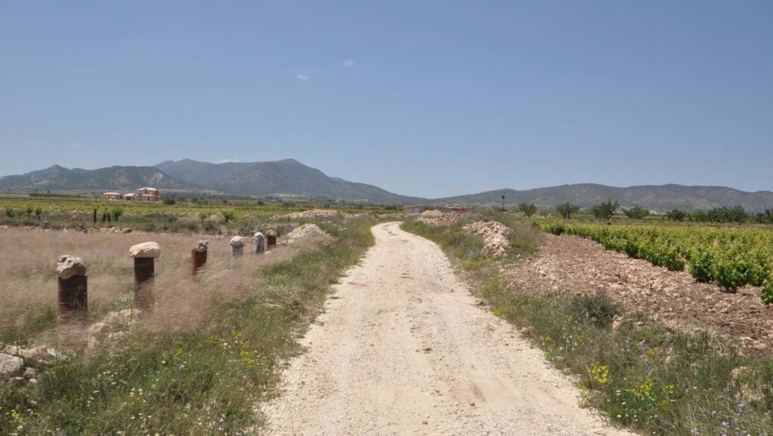 Venta - Land - Pinoso - Pinoso Centro