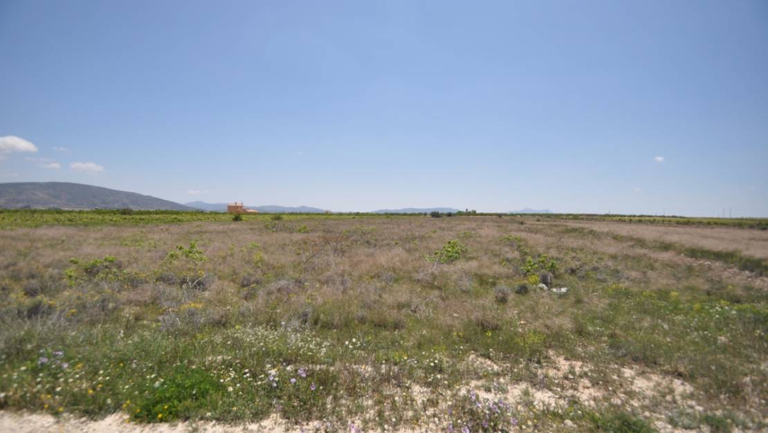 Venta - Land - Pinoso - Pinoso Centro