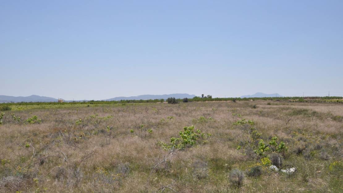 Venta - Land - Pinoso - Pinoso Centro