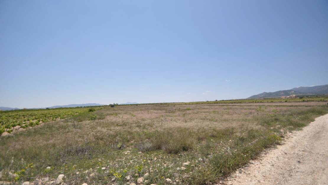 Venta - Land - Pinoso - Pinoso Centro