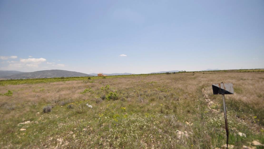 Venta - Land - Pinoso - Pinoso Centro