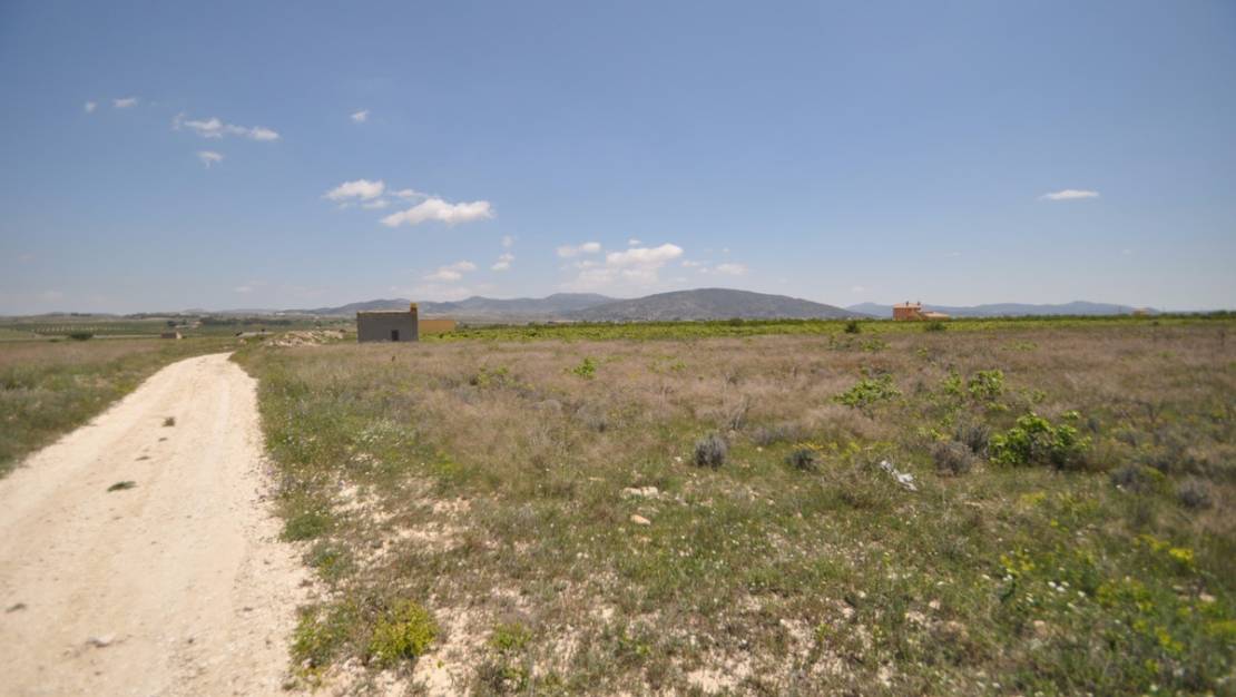 Venta - Land - Pinoso - Pinoso Centro