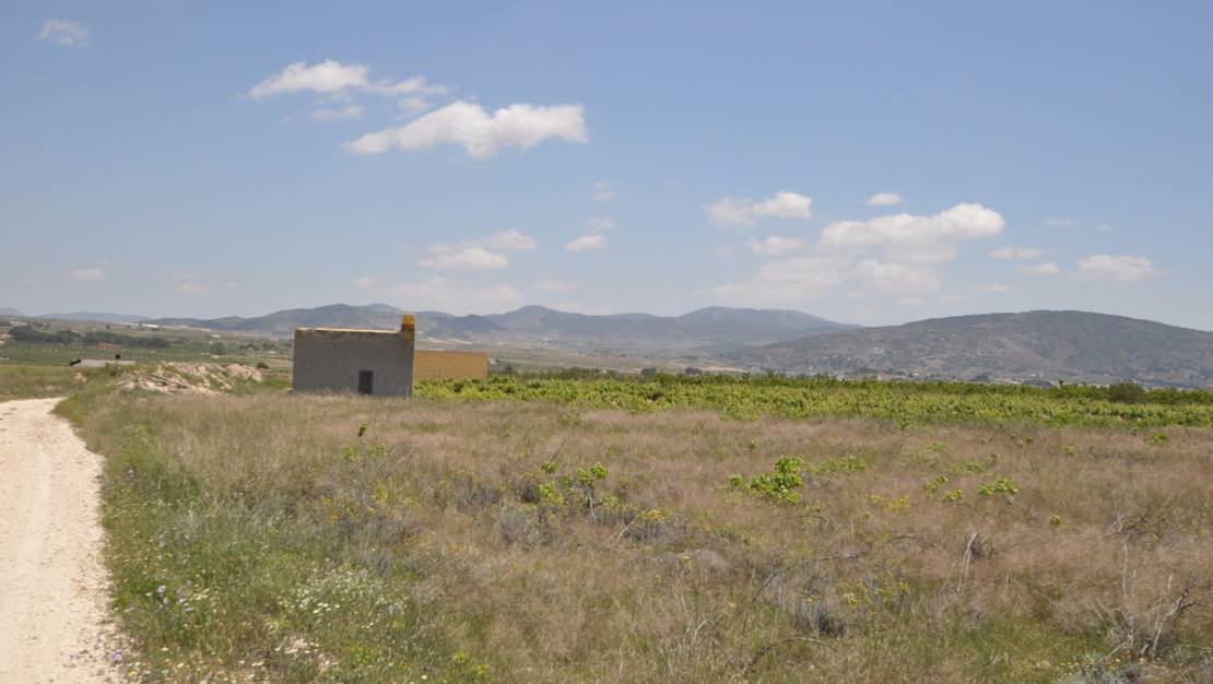 Venta - Land - Pinoso - Pinoso Centro