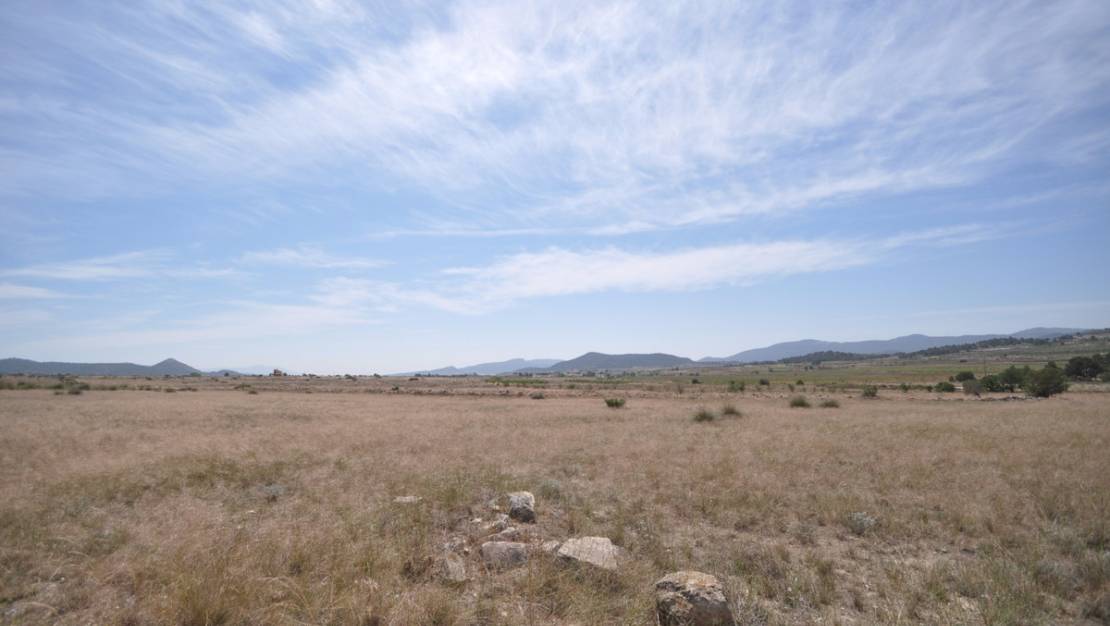 Venta - Land - Pinoso - Pinoso Centro