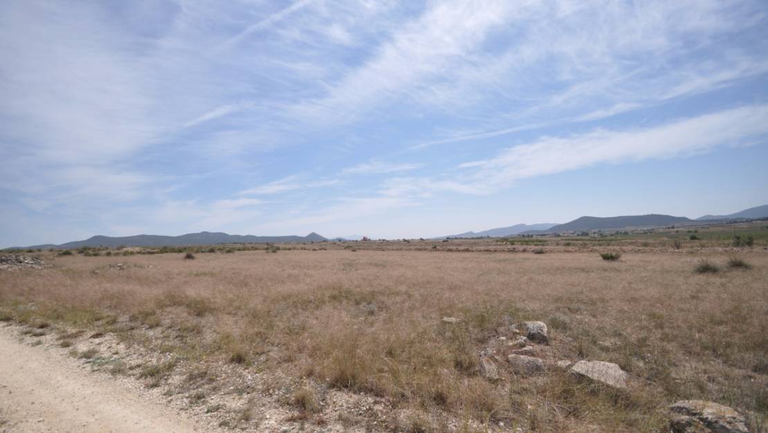 Venta - Land - Pinoso - Pinoso Centro