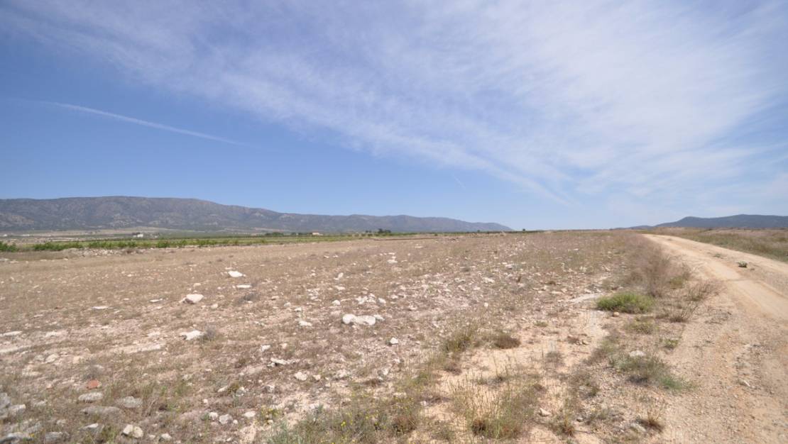 Venta - Land - Pinoso - Pinoso Centro