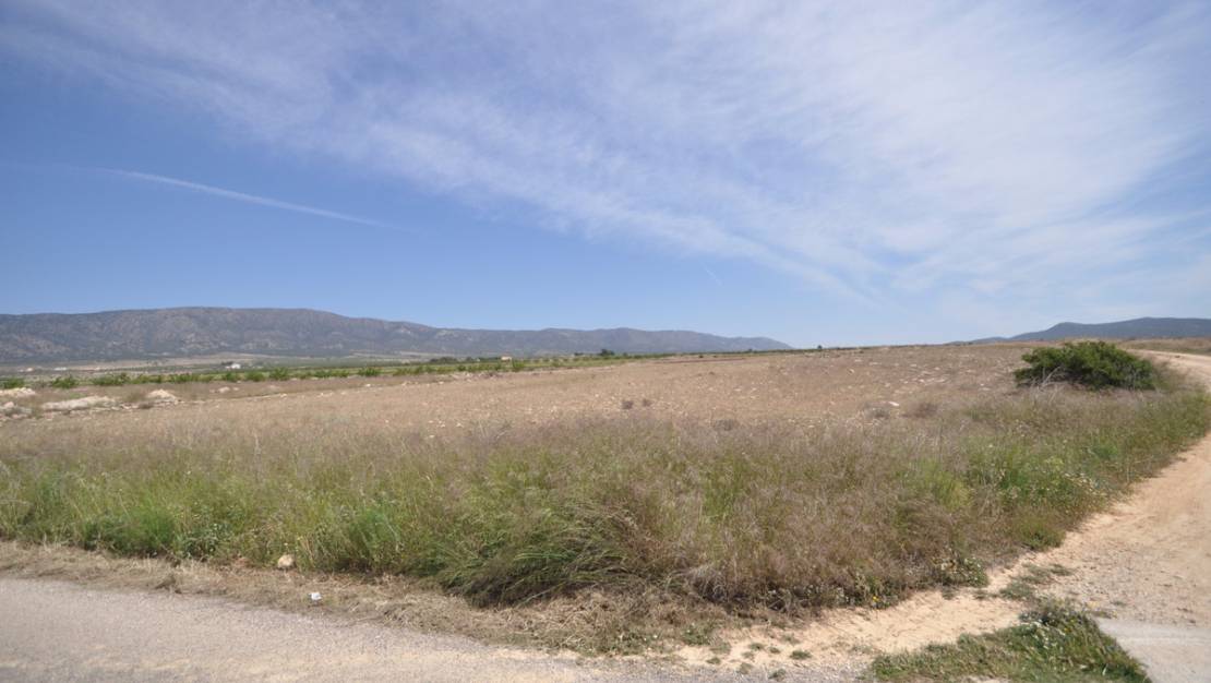 Venta - Land - Pinoso - Pinoso Centro