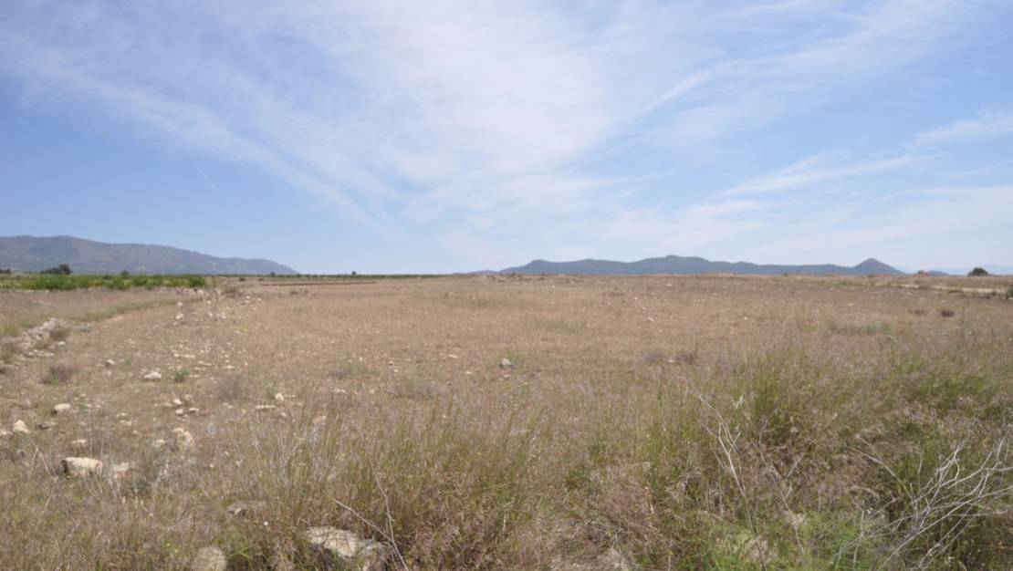 Venta - Land - Pinoso - Pinoso Centro