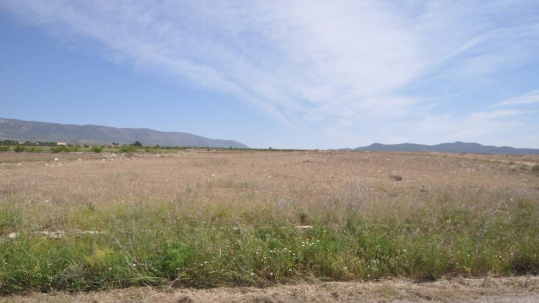 Venta - Land - Pinoso - Pinoso Centro