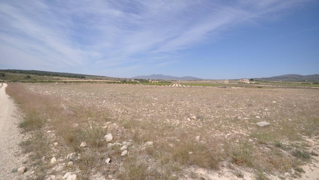 Venta - Land - Pinoso - Pinoso Centro