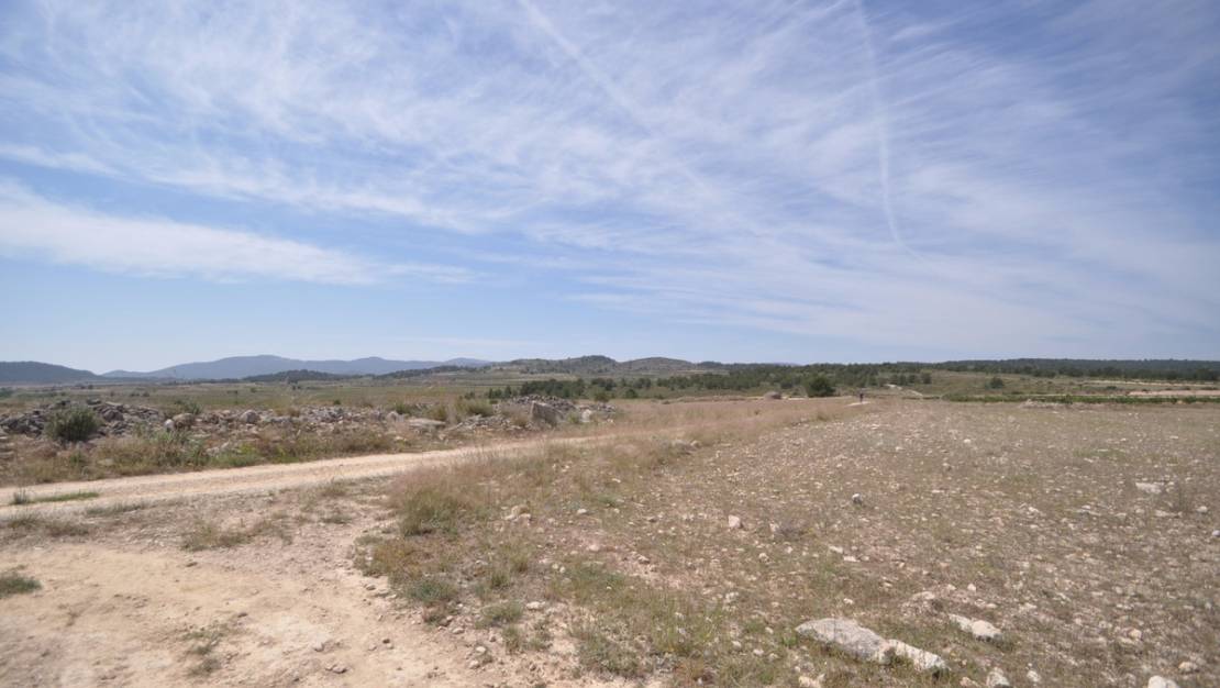 Venta - Land - Pinoso - Pinoso Centro