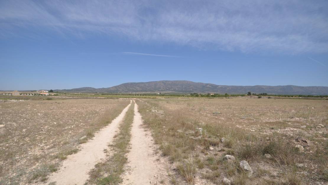 Venta - Land - Pinoso - Pinoso Centro