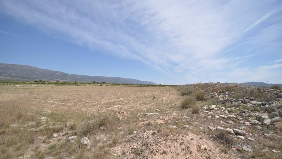 Venta - Land - Pinoso - Pinoso Centro