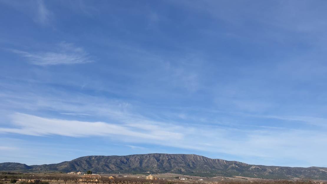 Venta - Land - Pinoso - Pinoso Centro