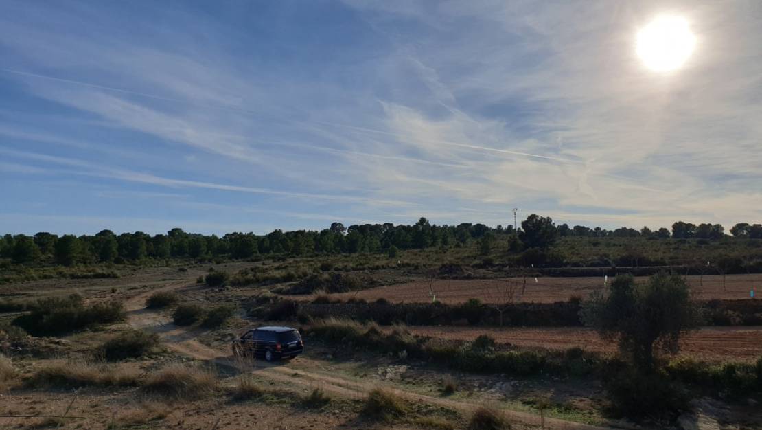 Venta - Land - Pinoso - Pinoso Centro