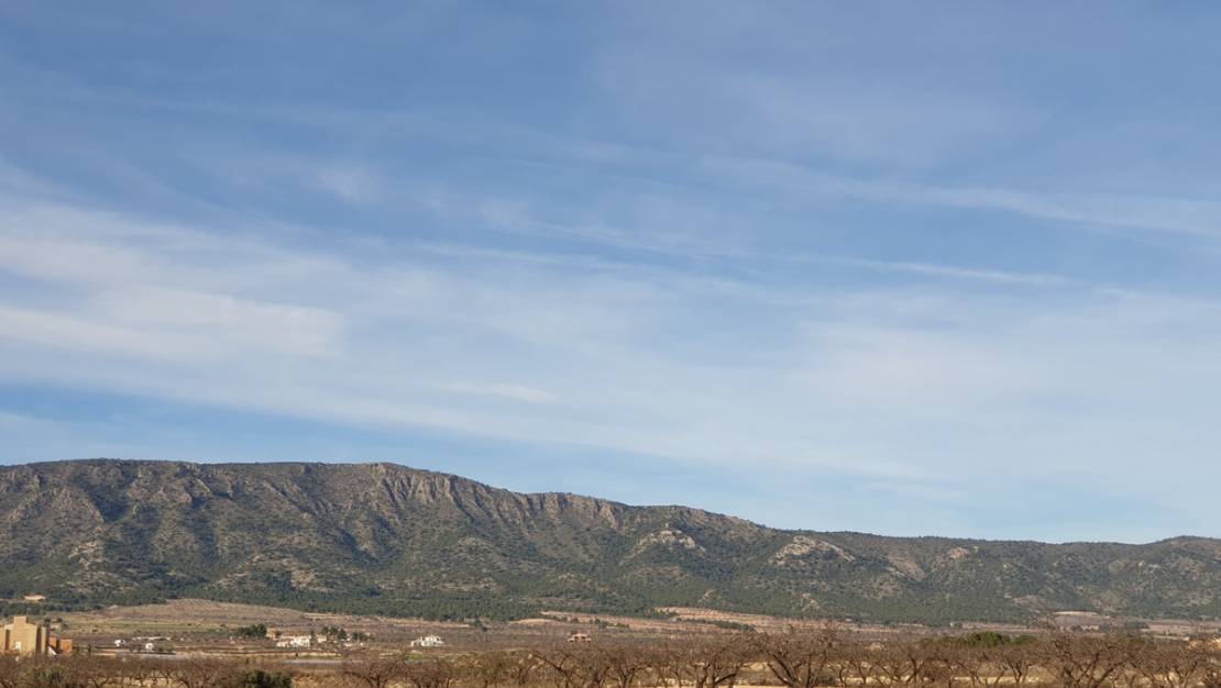 Venta - Land - Pinoso - Pinoso Centro