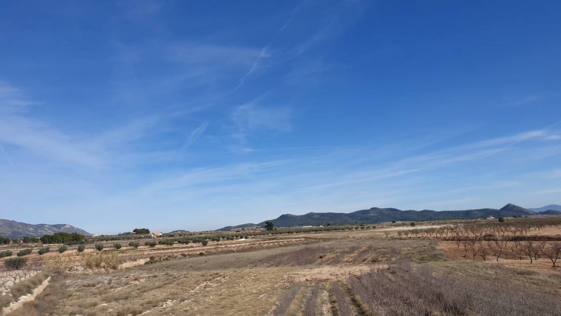 Venta - Land - Pinoso - Pinoso Centro