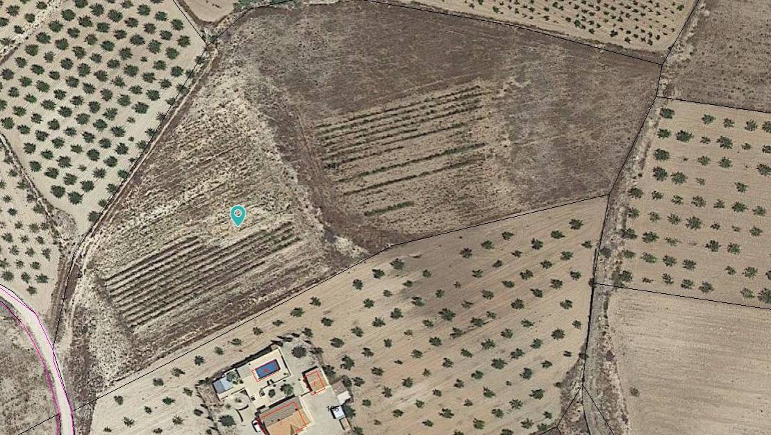 Venta - Land - Pinoso - Pinoso Centro