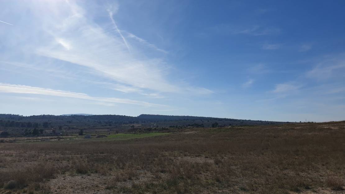 Venta - Land - Pinoso - Pinoso Centro