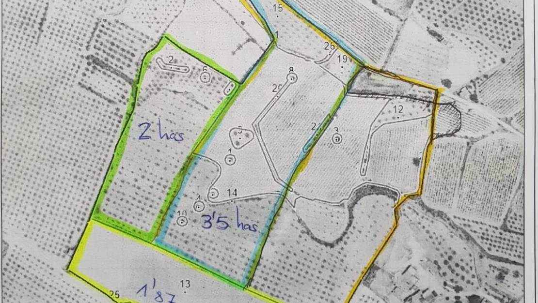 Venta - Land - Pinoso - Pinoso Centro