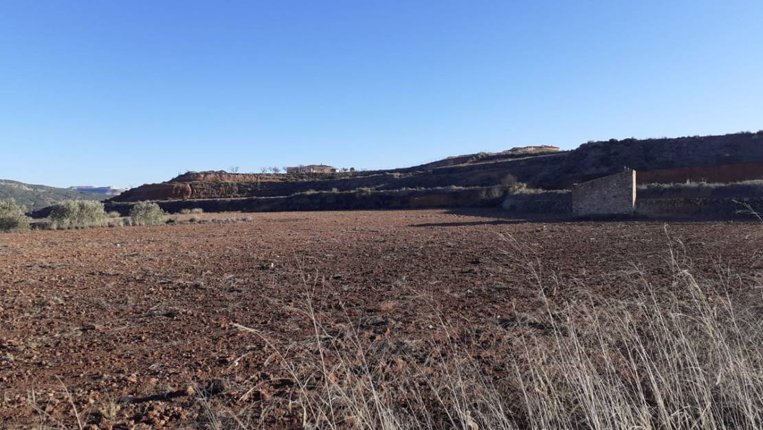 Venta - Land - Pinoso - Pinoso Centro