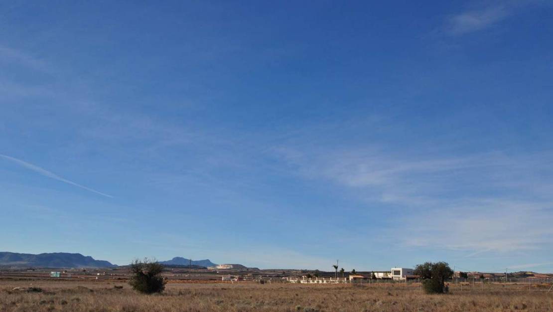 Venta - Land - Pinoso - Pinoso Centro