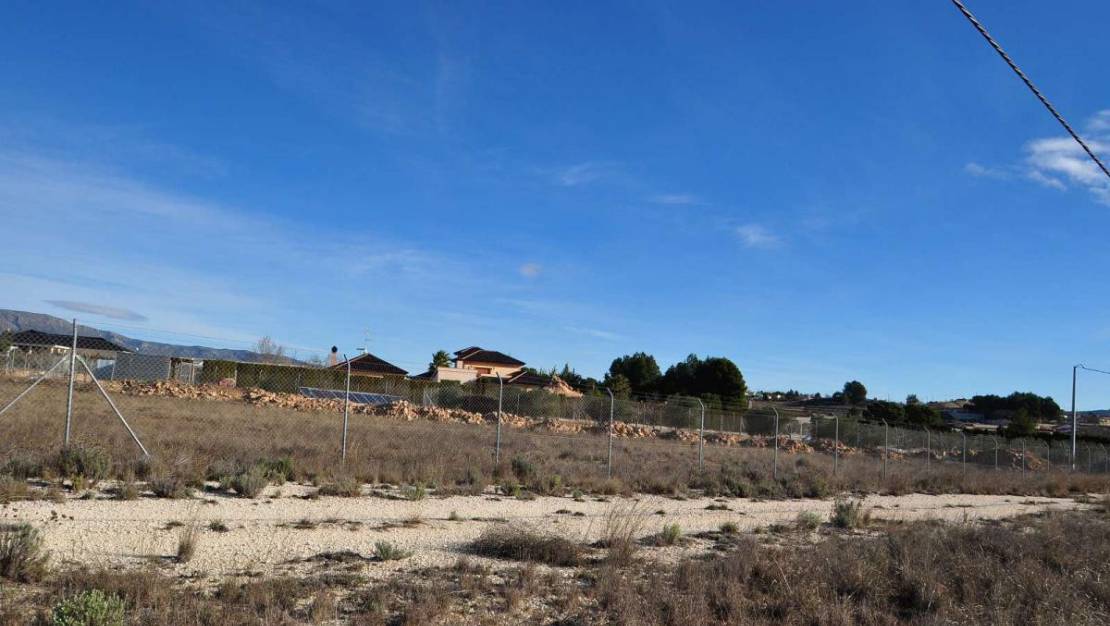 Venta - Land - Pinoso - Pinoso Centro