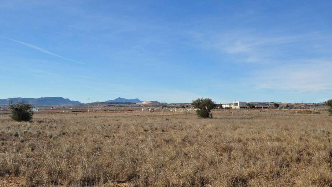 Venta - Land - Pinoso - Pinoso Centro