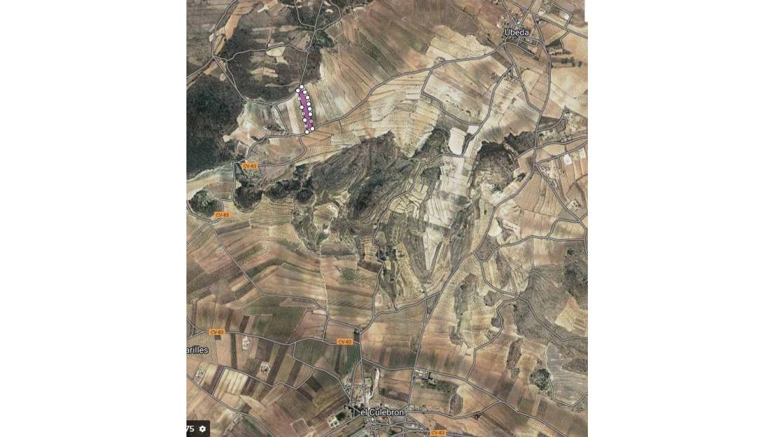 Venta - Land - Pinoso - Pinoso Centro