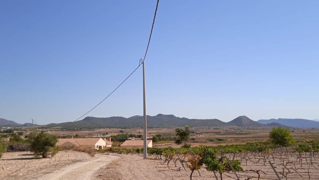 Venta - Land - Pinoso - Pinoso Centro