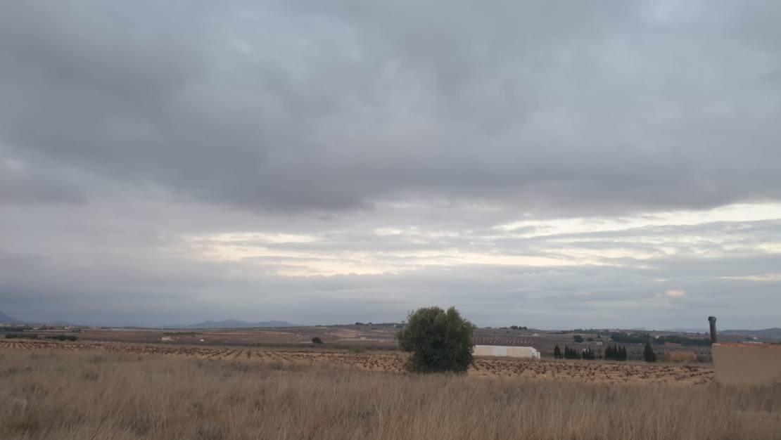 Venta - Land - Pinoso - Pinoso Centro