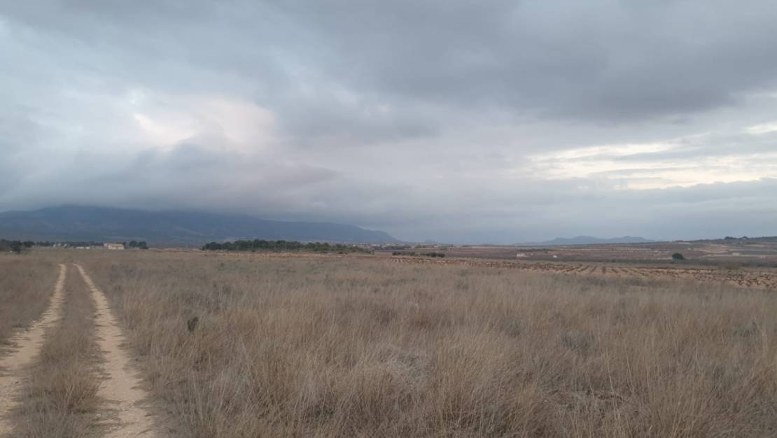 Venta - Land - Pinoso - Pinoso Centro