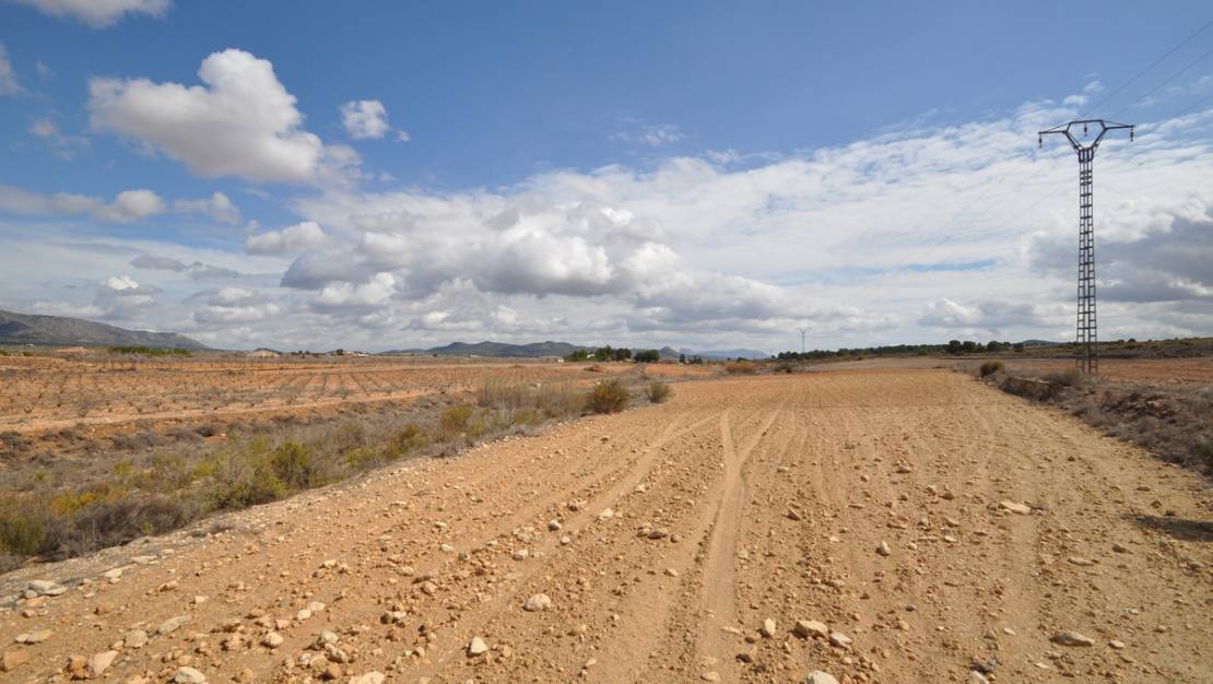 Venta - Land - Pinoso - Pinoso Centro