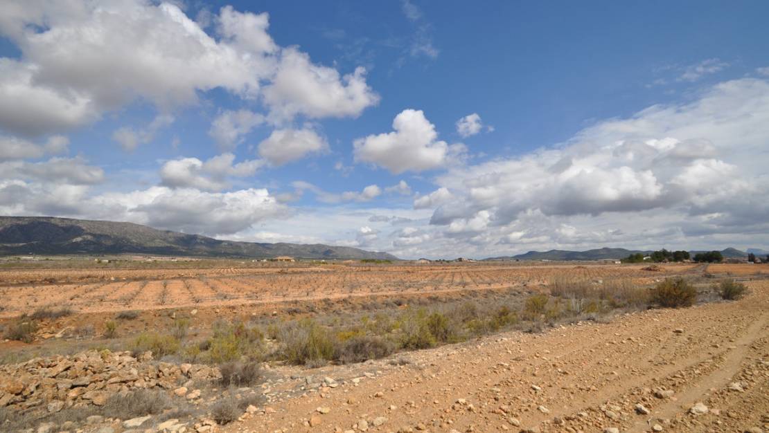 Venta - Land - Pinoso - Pinoso Centro