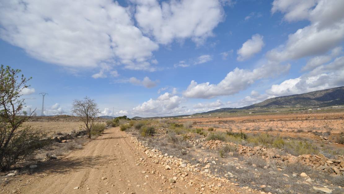 Venta - Land - Pinoso - Pinoso Centro
