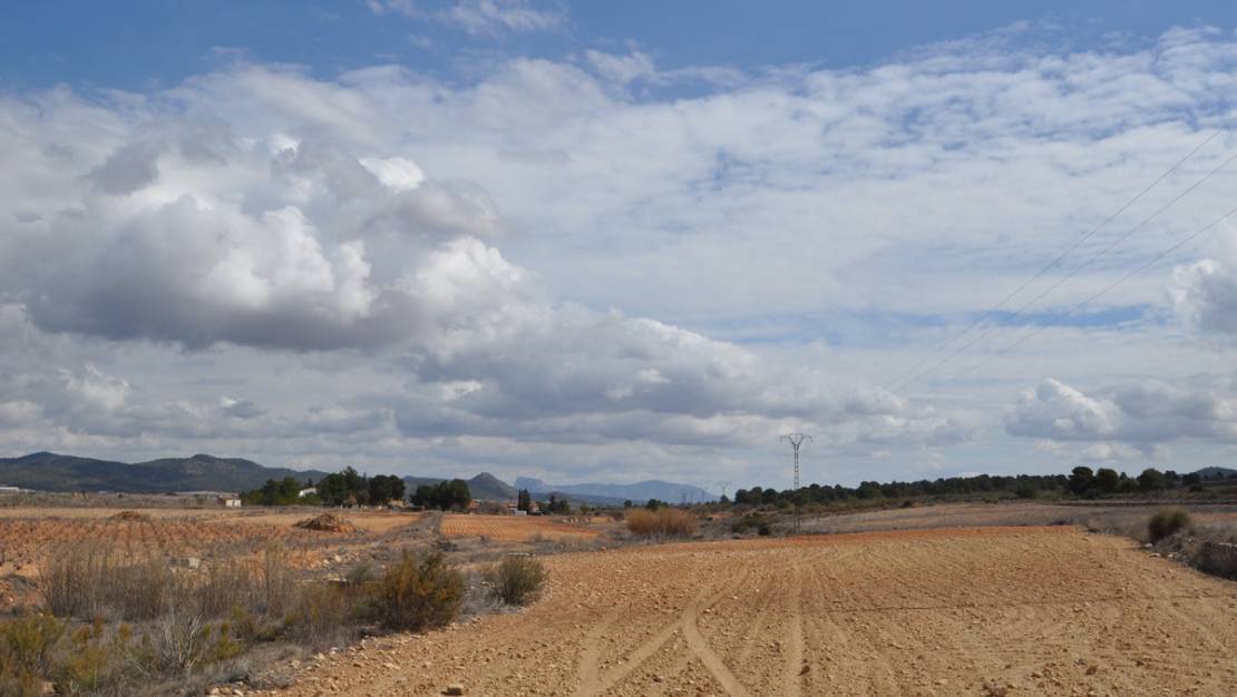 Venta - Land - Pinoso - Pinoso Centro