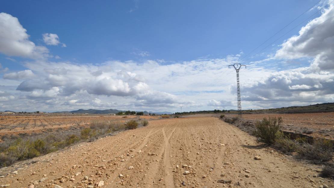 Venta - Land - Pinoso - Pinoso Centro