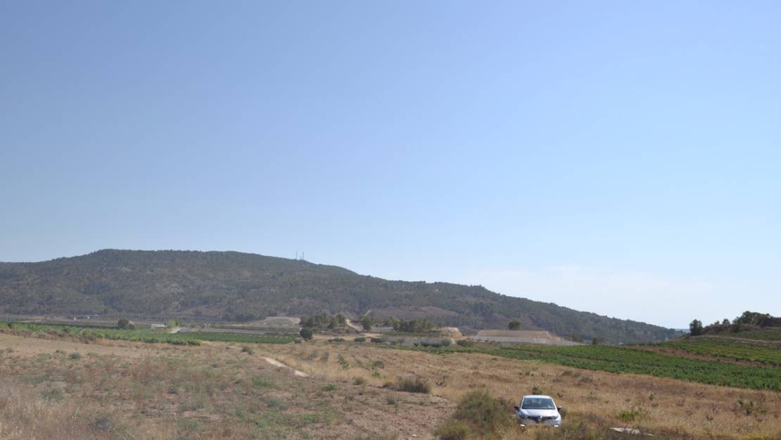 Venta - Land - Pinoso - Pinoso Centro