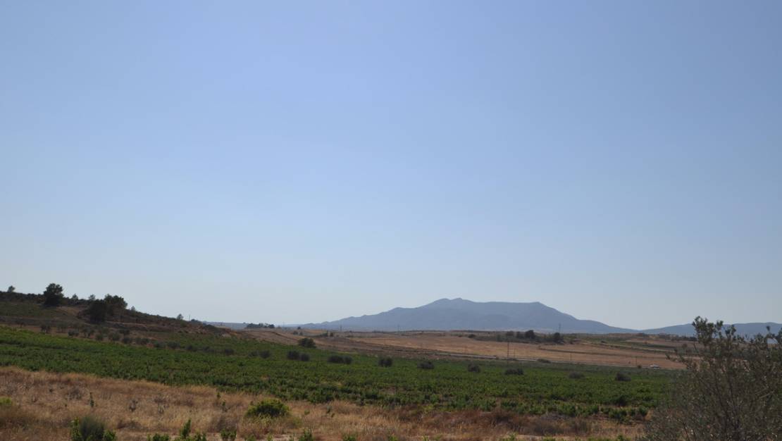 Venta - Land - Pinoso - Pinoso Centro