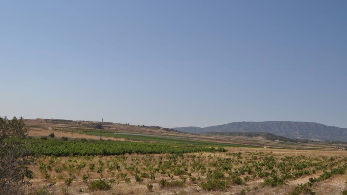 Venta - Land - Pinoso - Pinoso Centro