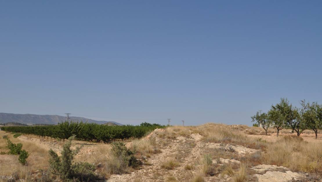 Venta - Land - Pinoso - Pinoso Centro