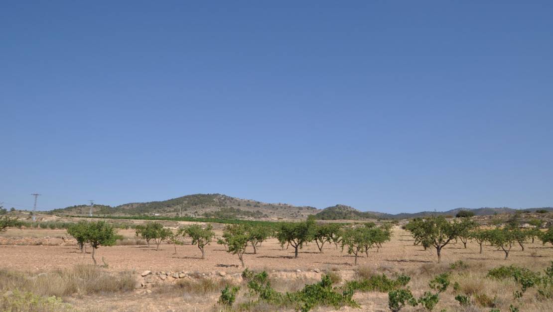 Venta - Land - Pinoso - Pinoso Centro