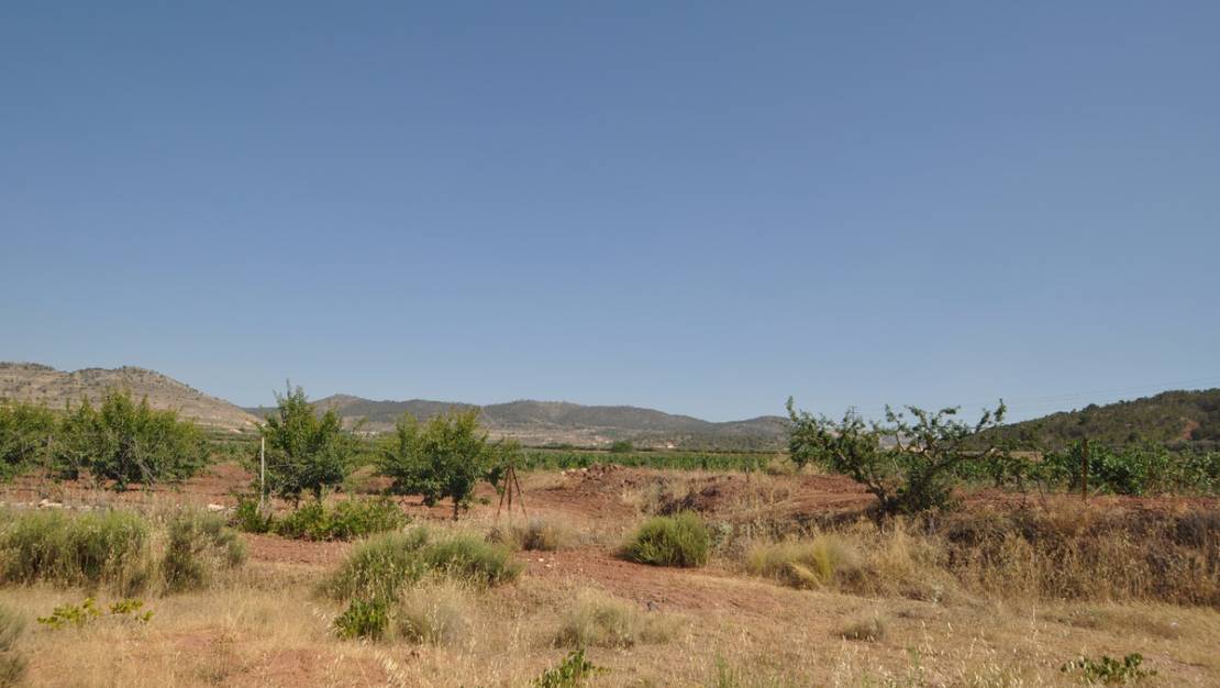 Venta - Land - Pinoso - Pinoso Centro