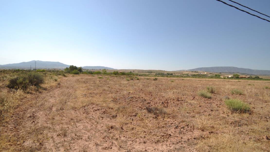 Venta - Land - Pinoso - Pinoso Centro