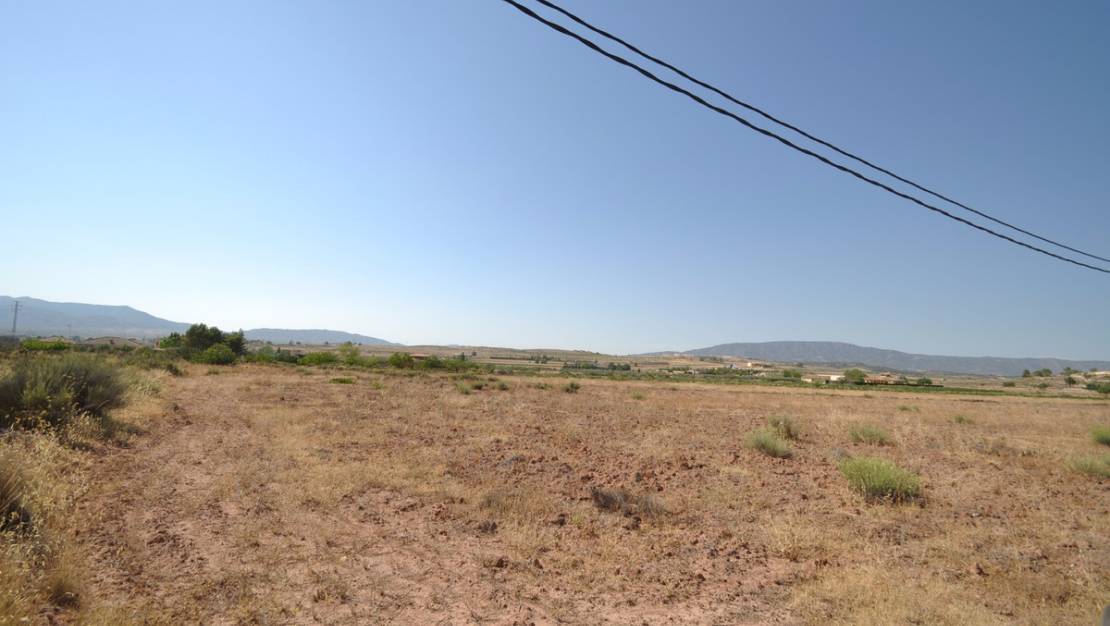 Venta - Land - Pinoso - Pinoso Centro