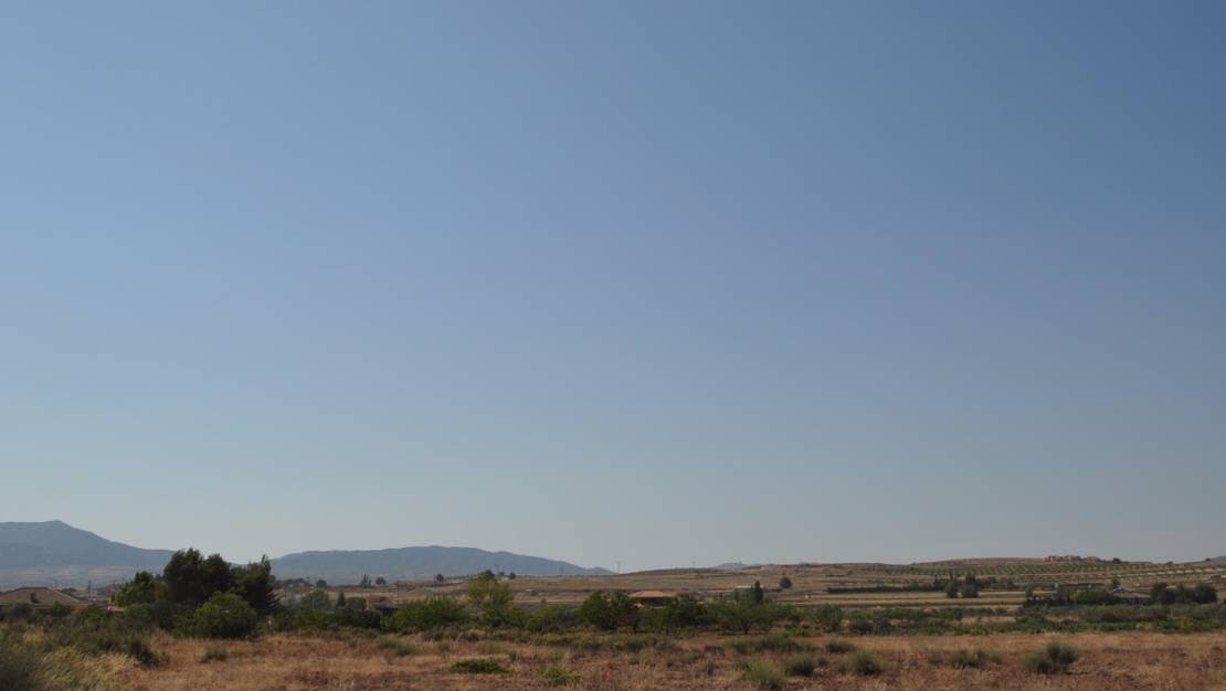 Venta - Land - Pinoso - Pinoso Centro